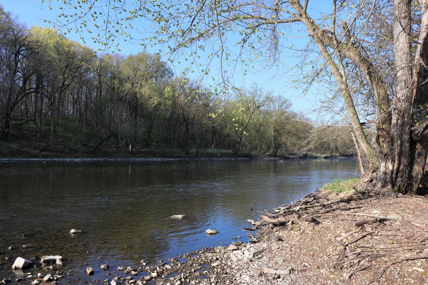 Cedar Bridge Park